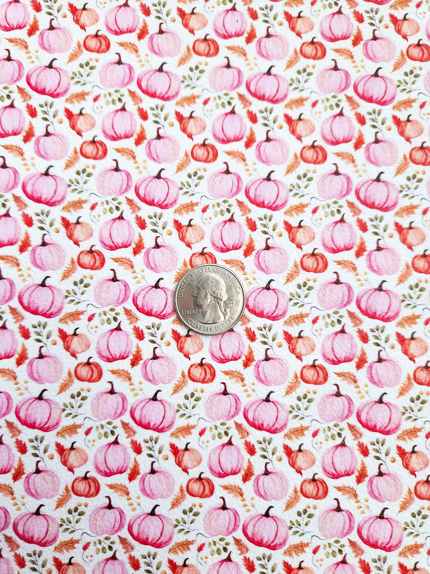 Pretty Pink Pumpkins 9x12 faux leather sheet