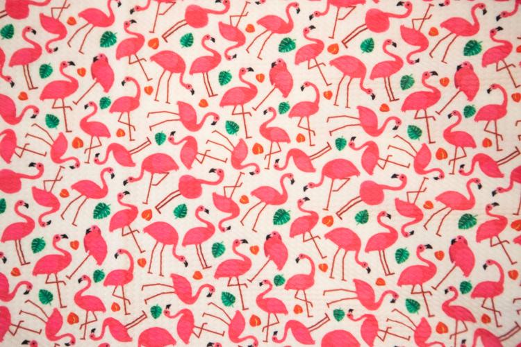 Flamingo Bullet Fabric