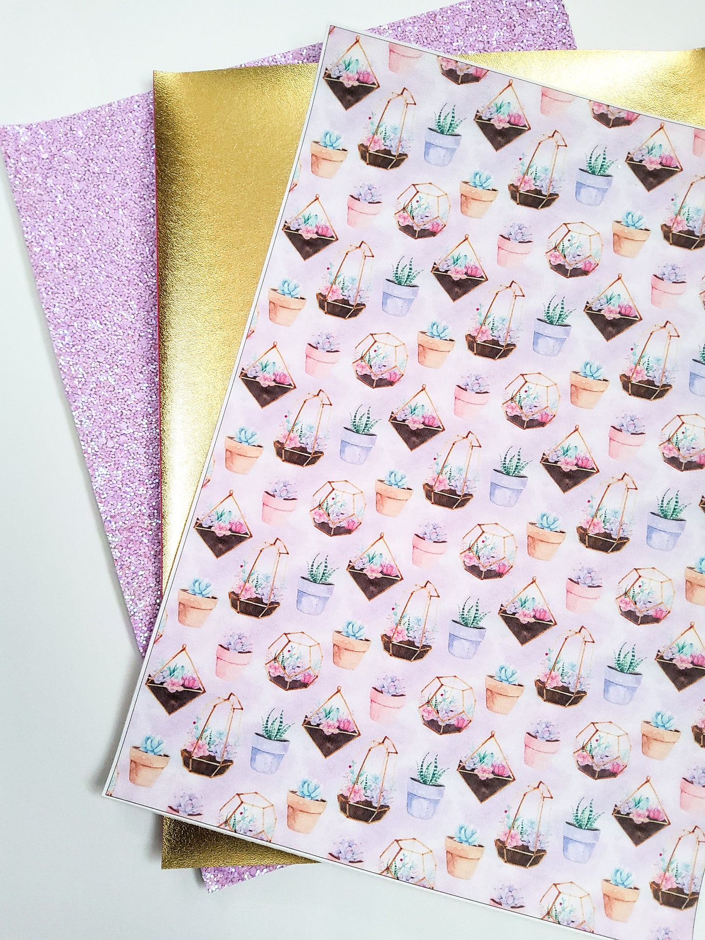 Potted Succulent Set