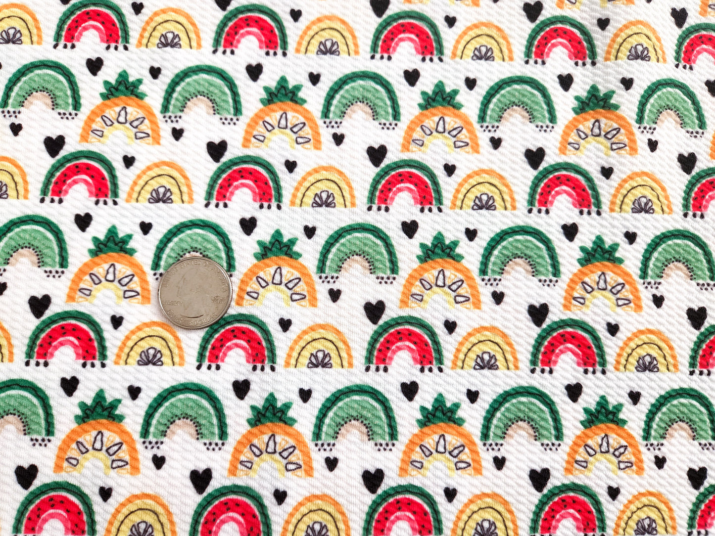 Fruit Rainbows Bullet Fabric Strip