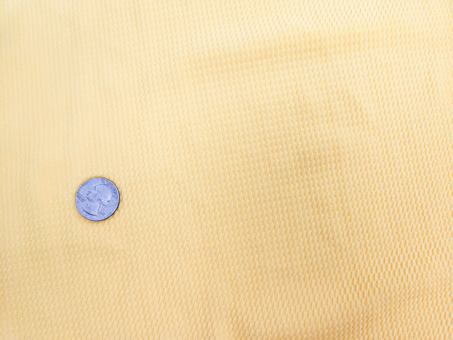 Light Yellow Bullet Fabric Strip