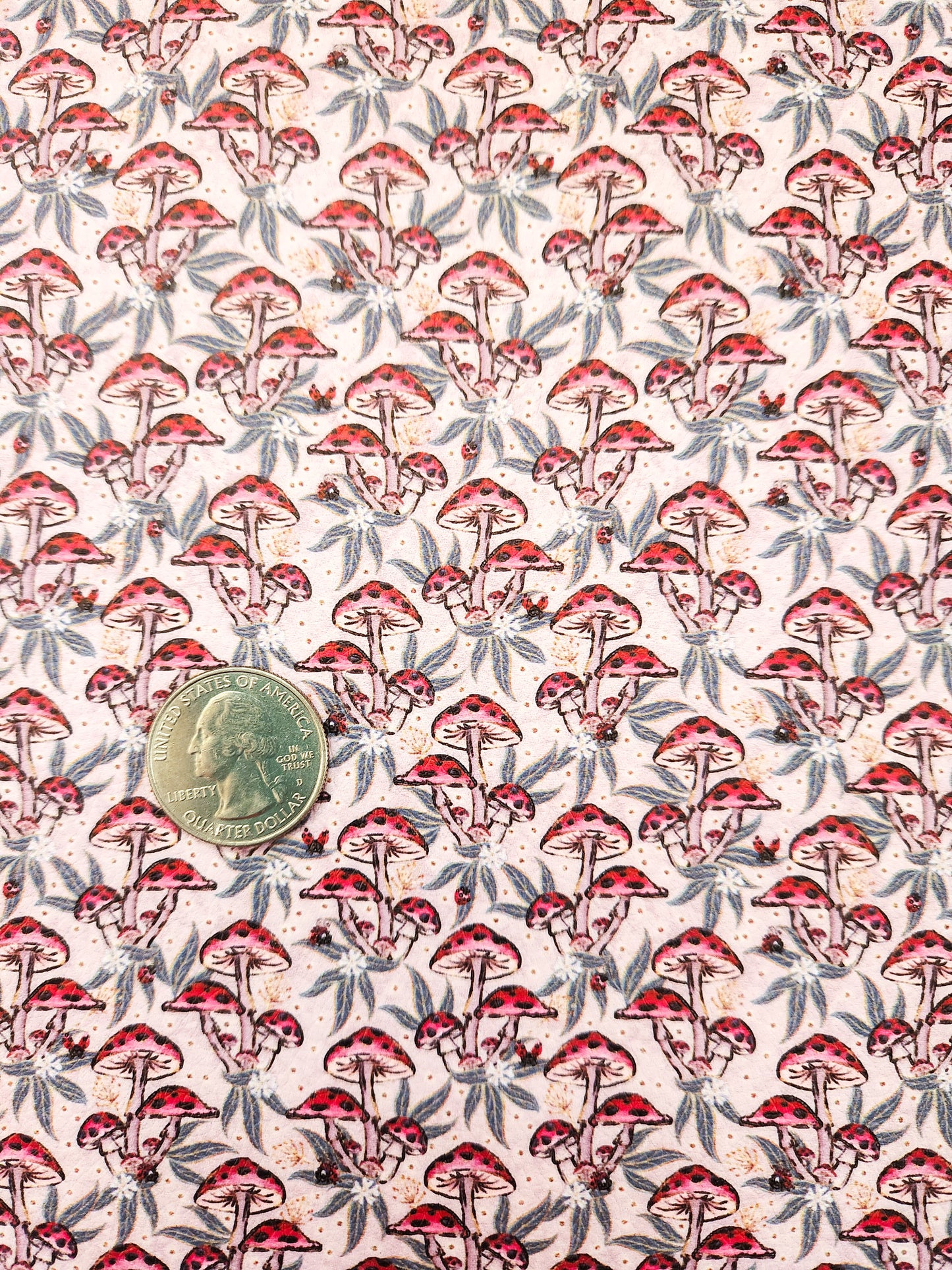 Ladybug Mushrooms 9x12 faux leather sheet
