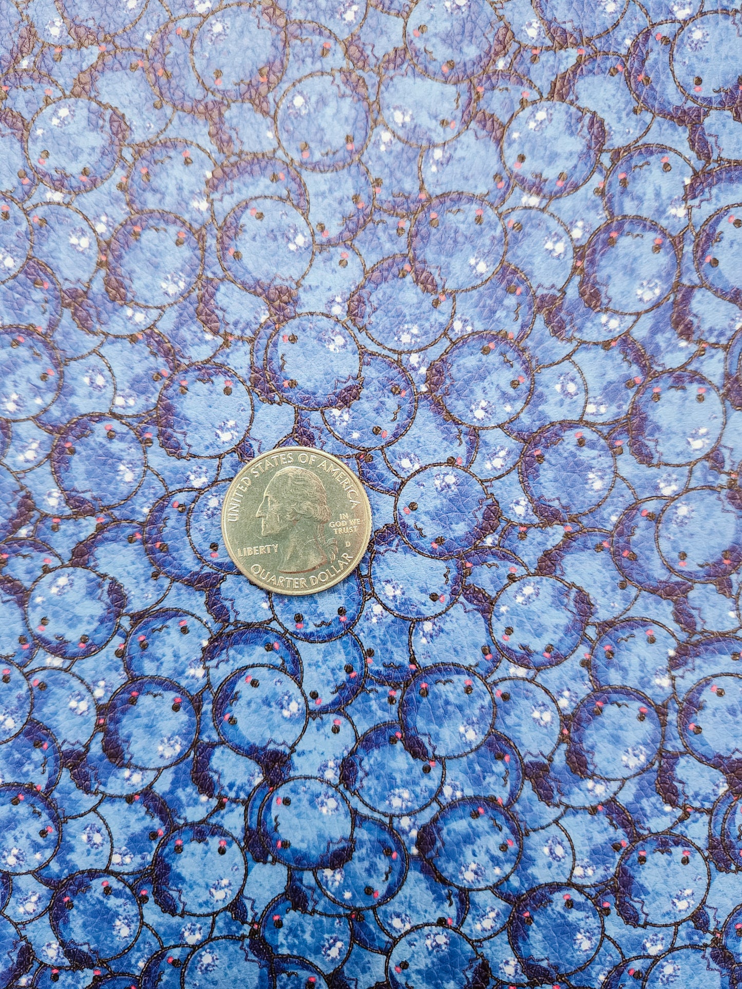 Smiling Blueberry 9x12 faux leather sheet