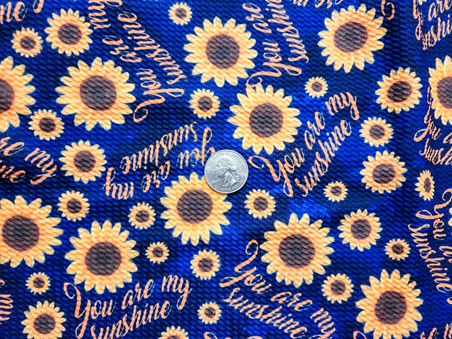 You Are My Sunshine Fabric Strip