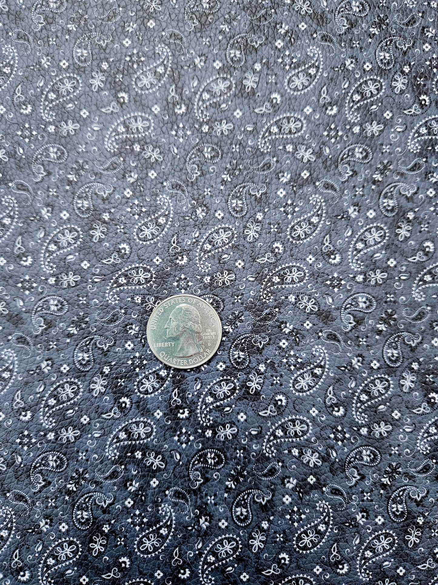 Black Paisley 9x12 faux leather sheet