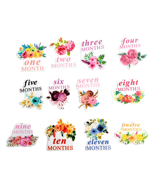 Monthly Milestone Resin Set