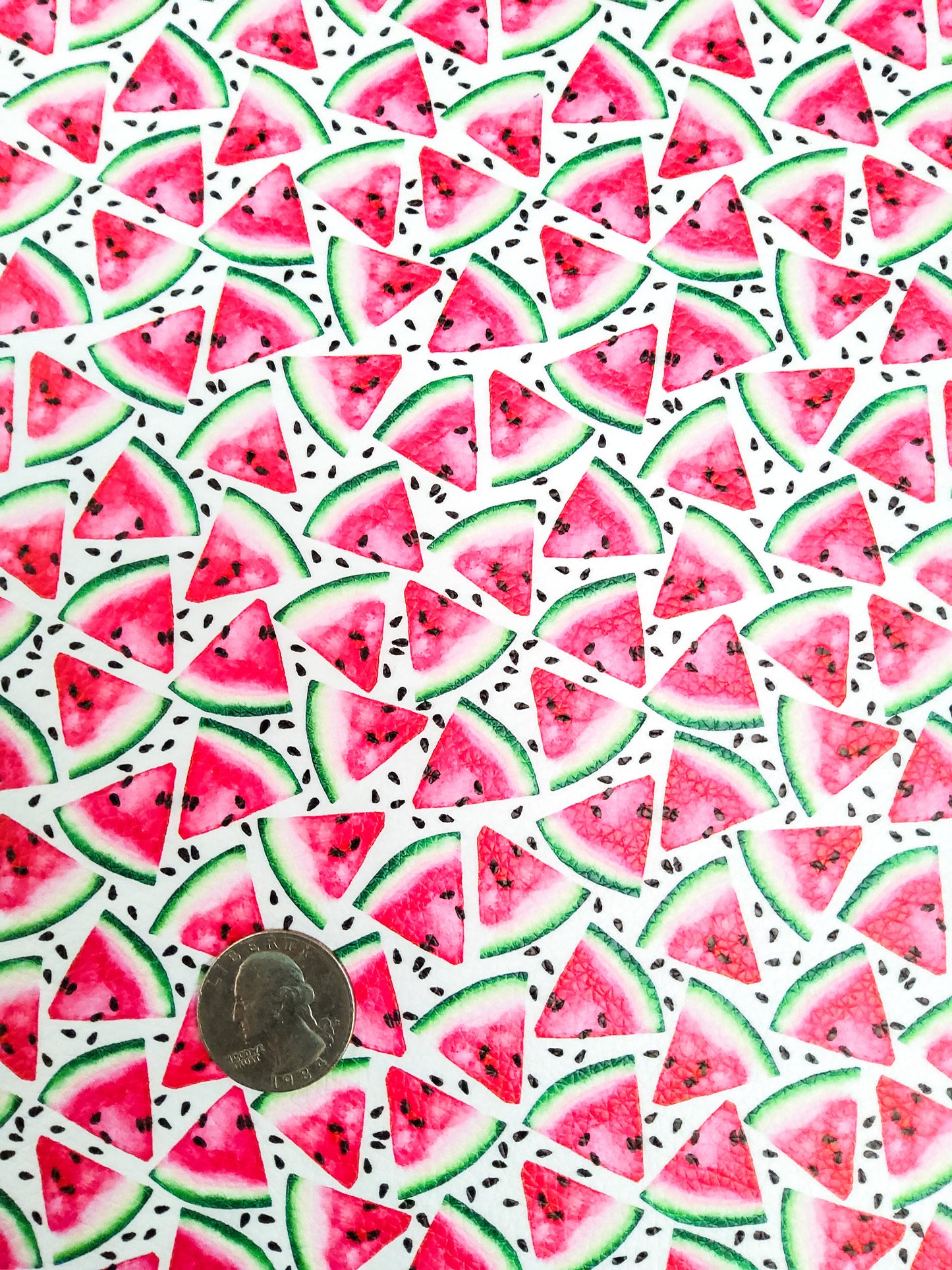 Watermelon Slices and Seeds 9x12 faux leather sheet