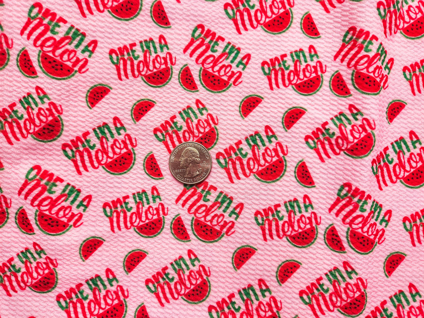 One in a Melon Fabric Strip