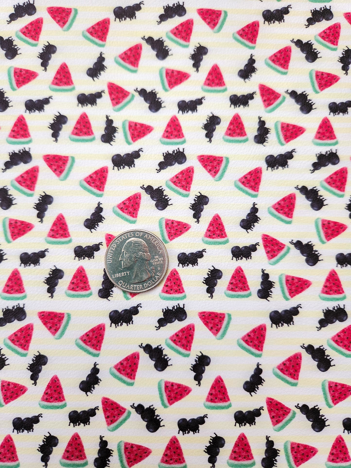 Watermelon Ants 9x12 faux leather sheet